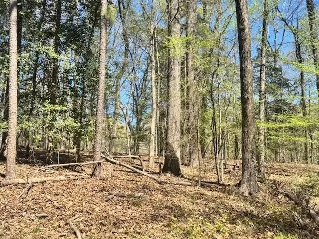 Lot 8 Pine Trl, Etoile, TX 75944 - #2