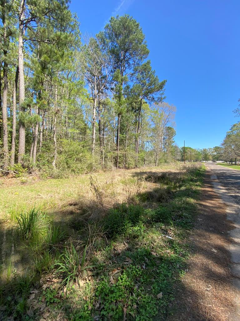 Lot 189 Lakeside Drive, Etoile, TX 75944 - #2