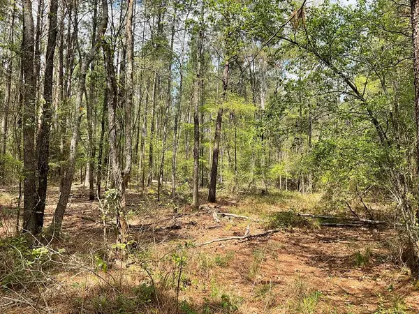 Lot 2B & 2C Fuller Springs Drive, Lufkin, TX 75901