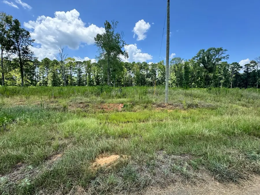 Lot 11 Private Rd 7700, San Augustine, TX 75972 - #3