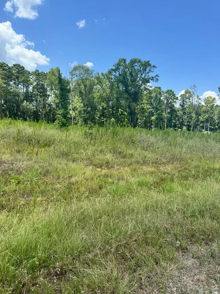 Lot 14 Private Rd 7700, San Augustine, TX 75972 - #1