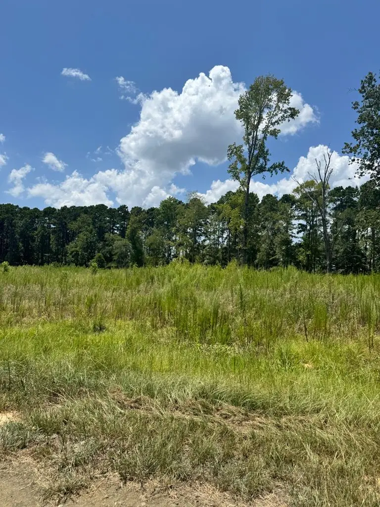 R28429 Private Rd 7700, San Augustine, TX 75972 - #1