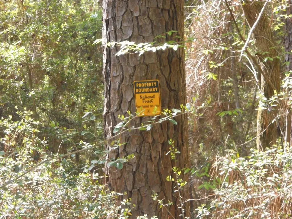 627 County Road 3373, San Augustine, TX 75972 - #1