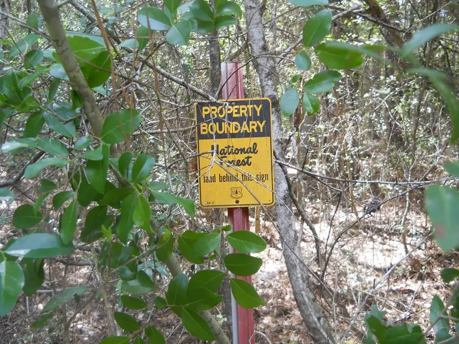 627 County Road 3373, San Augustine, TX 75972 - #2