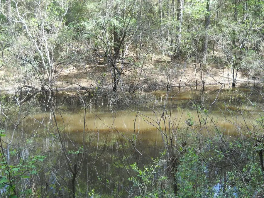 627 County Road 3373, San Augustine, TX 75972 - #3