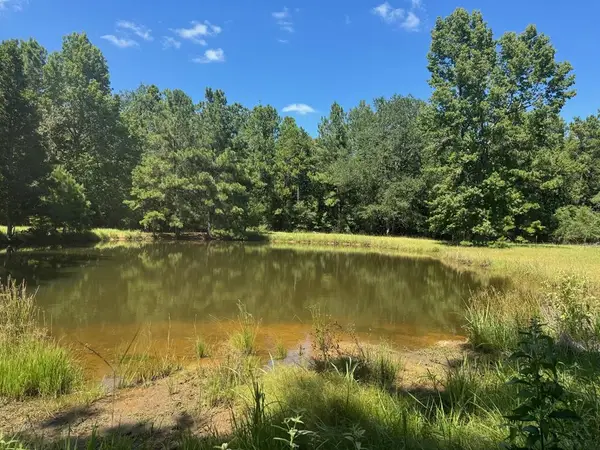 390 Pr 5200, Ratcliff, TX 75858