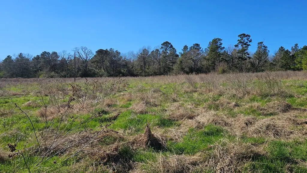 607 County Road 134, Garrison, TX 75946 - #1