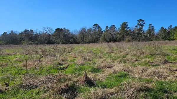 607 County Road 134, GARRISON, TX 75946