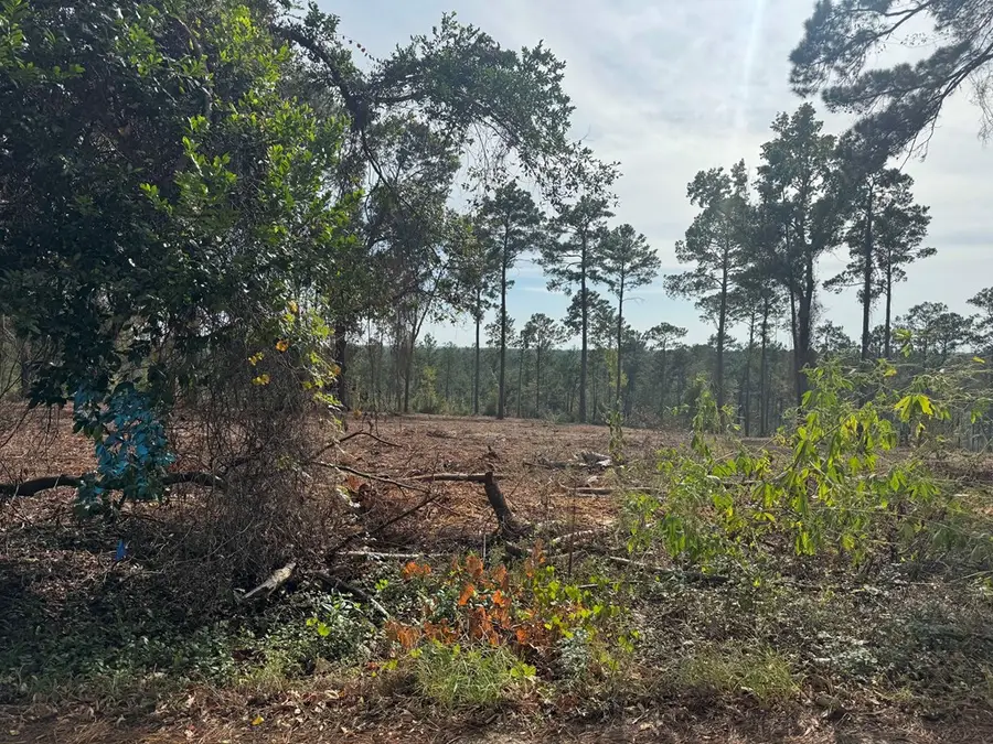 000896 County Road 219, Brookeland, TX 75931 - #2