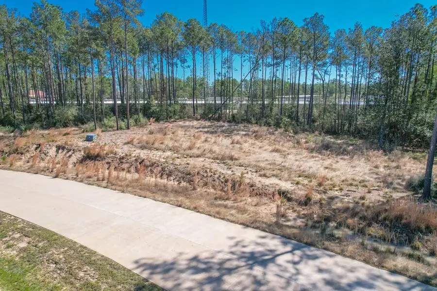 Lot 18 Rayburn Reserve Drive, Brookeland, TX 75931 - #2