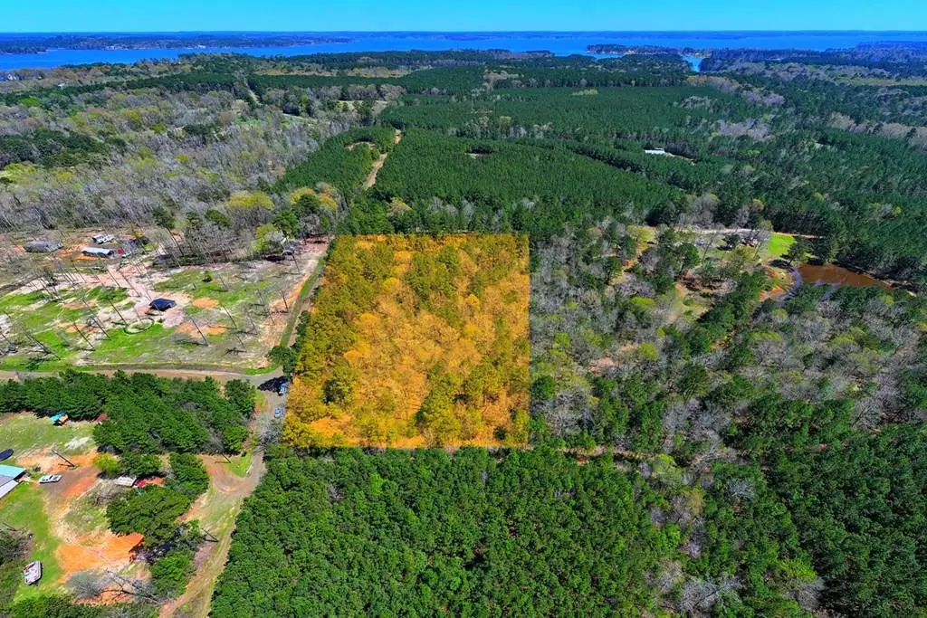 3632 N Bayou Road, Hemphill, TX 75948 - #1