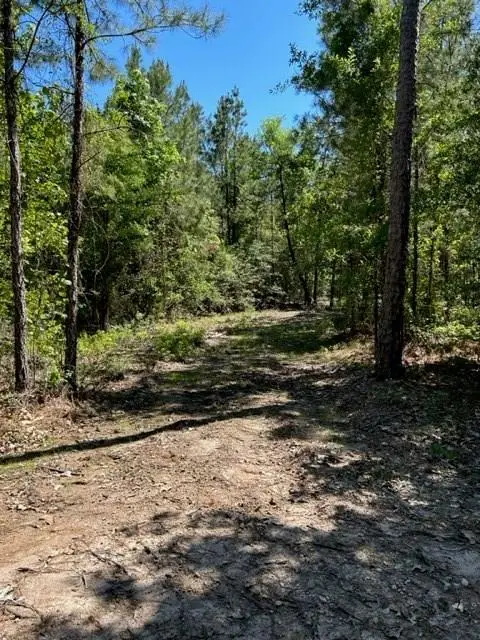 39-A Fm 1751, Broaddus, TX 75929 - #1