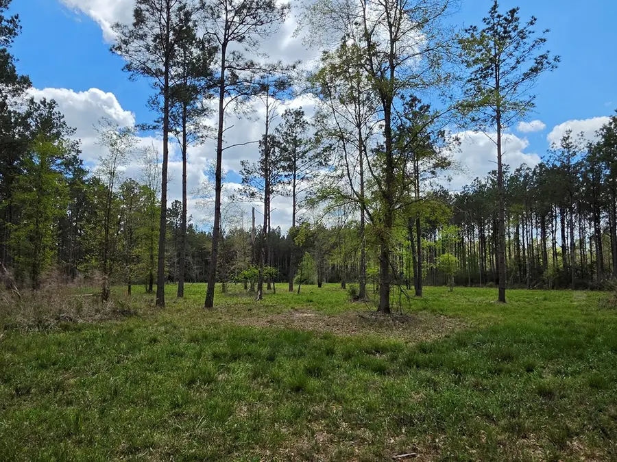 R241398 Kelley, Livingston Onalaska, TX 77531 - #3