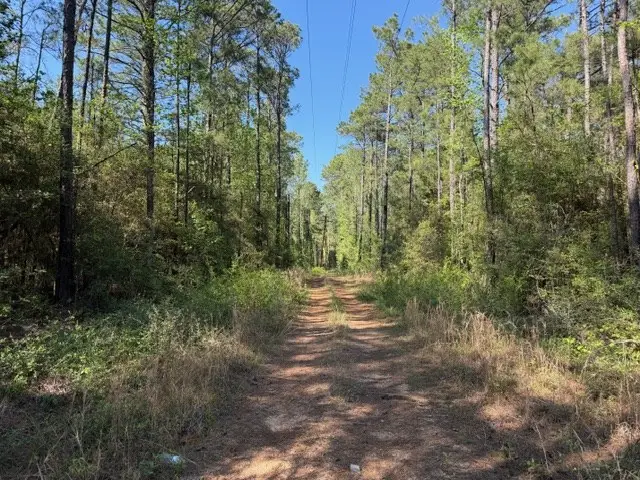 13P County Road 491s, Broaddus, TX 75929 - #2