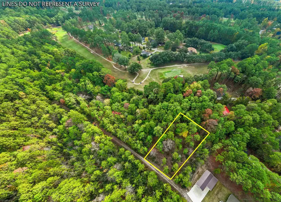 130 Brightberry Court, Brookeland, TX 75931 - #3