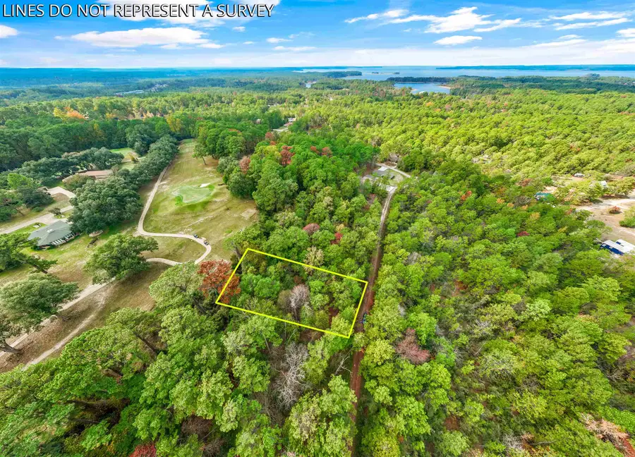 180 Brightberry Court, Brookeland, TX 75931 - #3