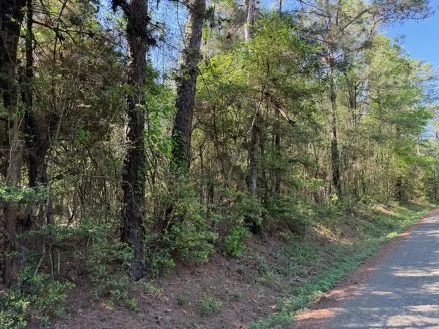 513 County Road 491s, Broaddus, TX 75929 - #1