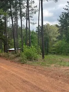 1119 Cr 969, Cushing Douglass, TX 75760 - #3