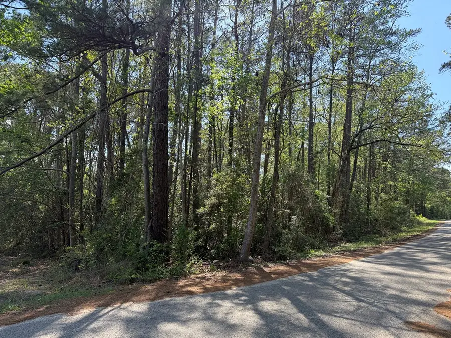 67 Angleridge Drive, Brookeland, TX 75931 - #3