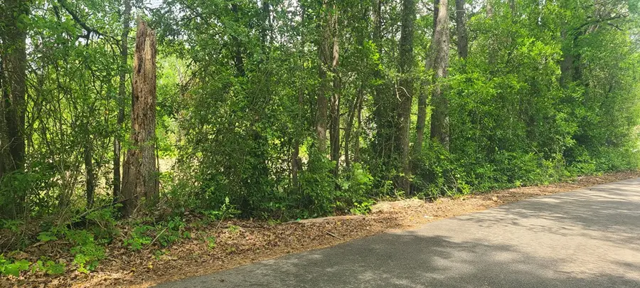 740 Gibsonville Road, Huntington, TX 75949 - #2