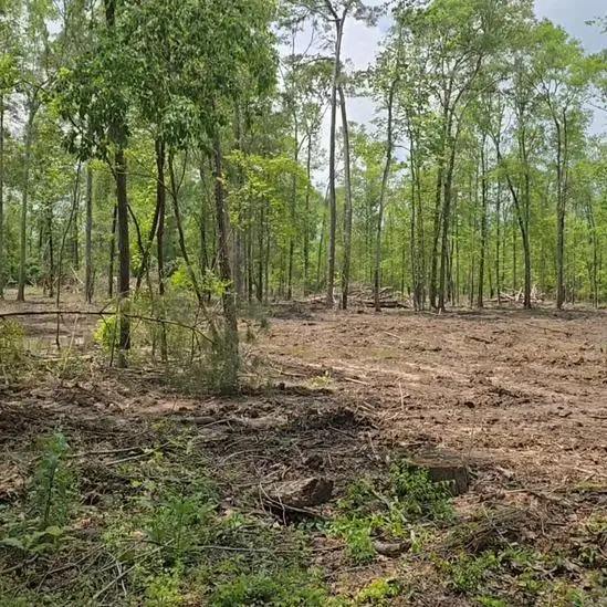 18486 Pr 8445, Spurger, TX 77660