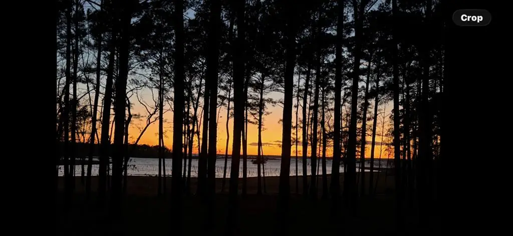 625 Pr 8525, Broaddus, TX 75929 - #1