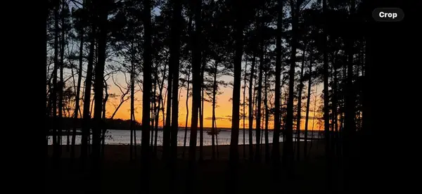 625 Pr 8525, Broaddus, TX 75929