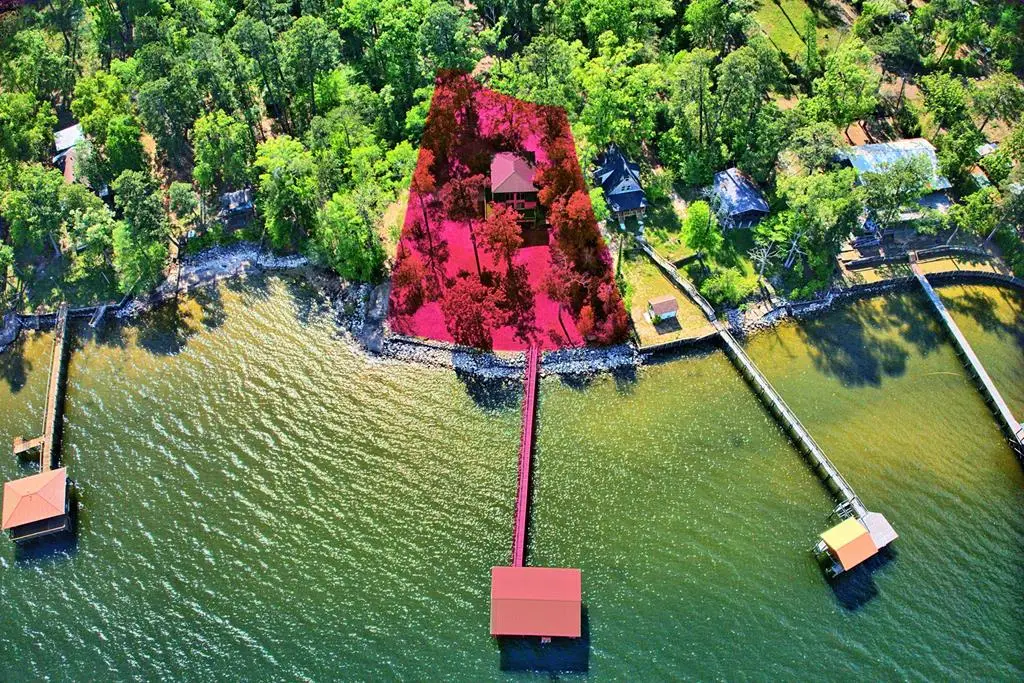 492 Pine Cone Lane, Hemphill, TX 75948 - #1