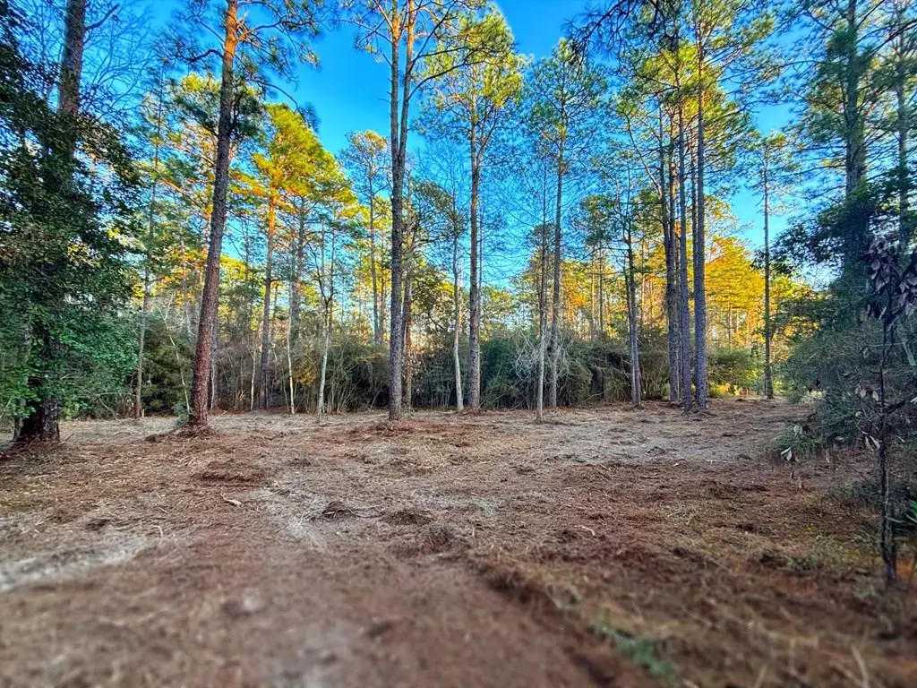 PID# 34570 Sago Court, Brookeland, TX 75931 - #1