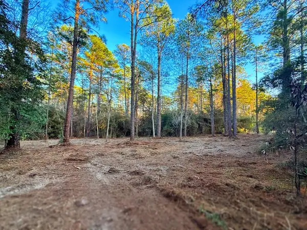 PID# 34570 Sago Court, Brookeland, TX 75931