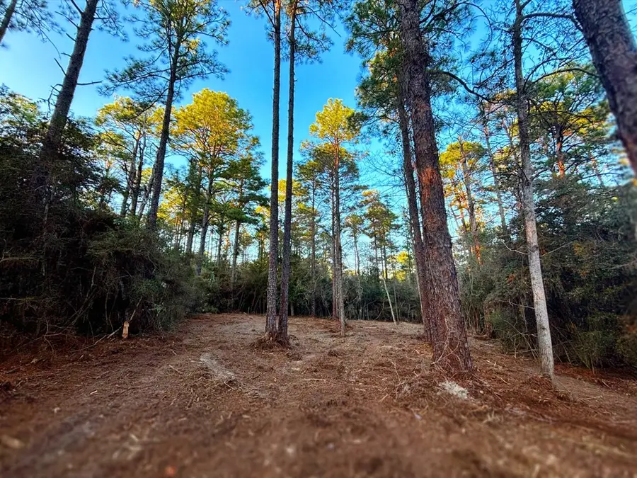 PID# 34570 Sago Court, Brookeland, TX 75931 - #2