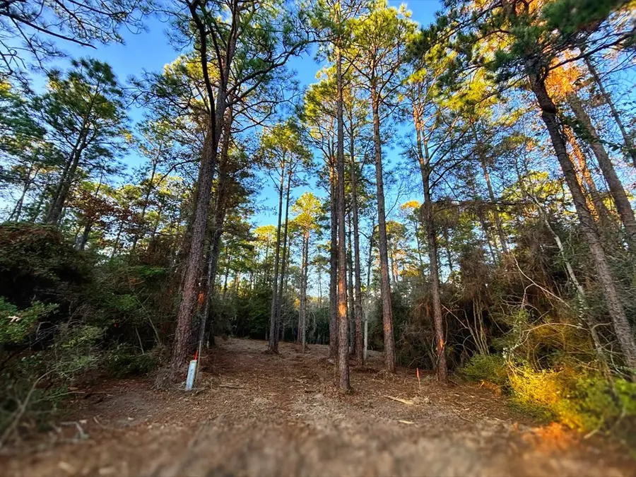 PID# 34570 Sago Court, Brookeland, TX 75931 - #3