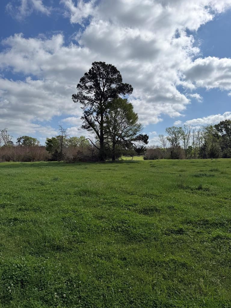 946 Happy Land Road, Nacogdoches, TX 75965 - #1