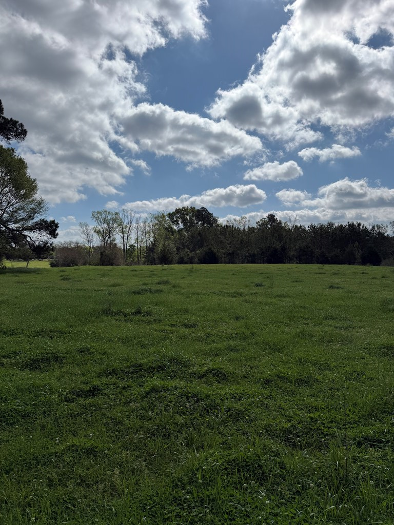 946 Happy Land Road, Nacogdoches, TX 75965 - #2