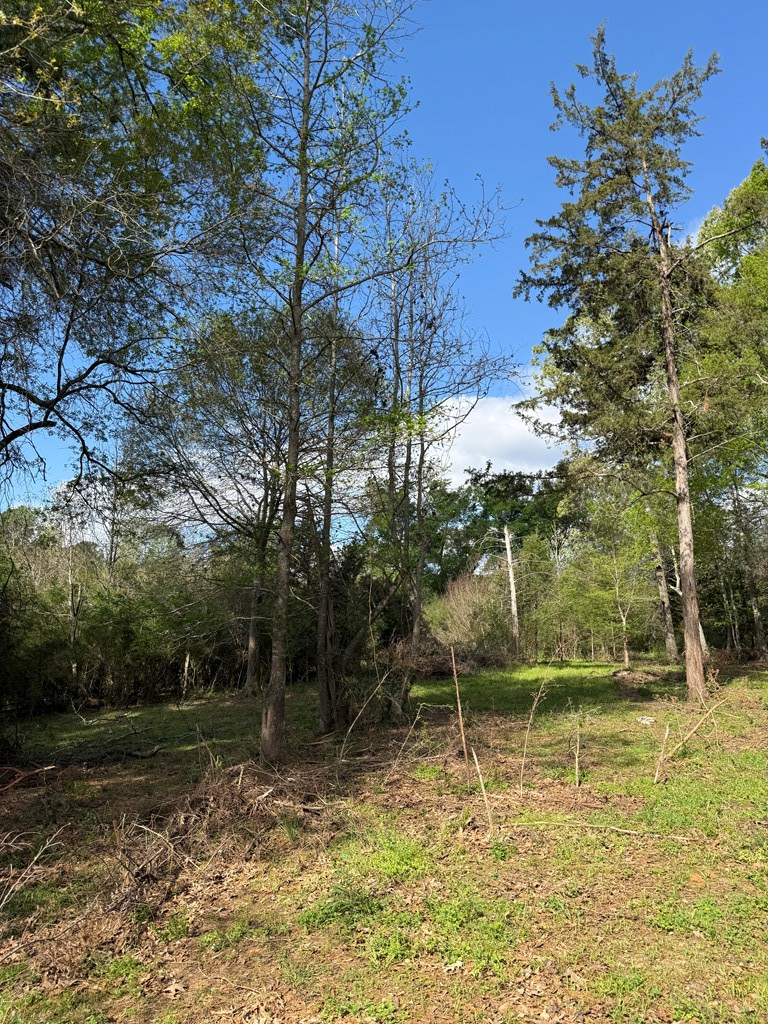 946 Happy Land Road, Nacogdoches, TX 75965 - #3