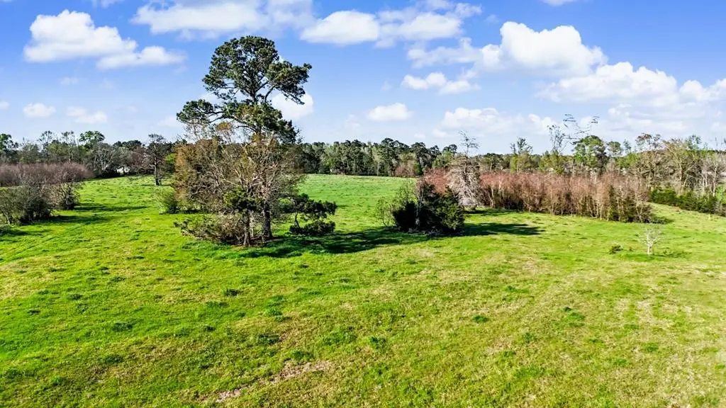 1769 Cr 217, Nacogdoches, TX 75965 - #1