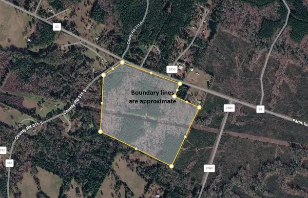 PID 13875 Fm 83, Broaddus, TX 75929