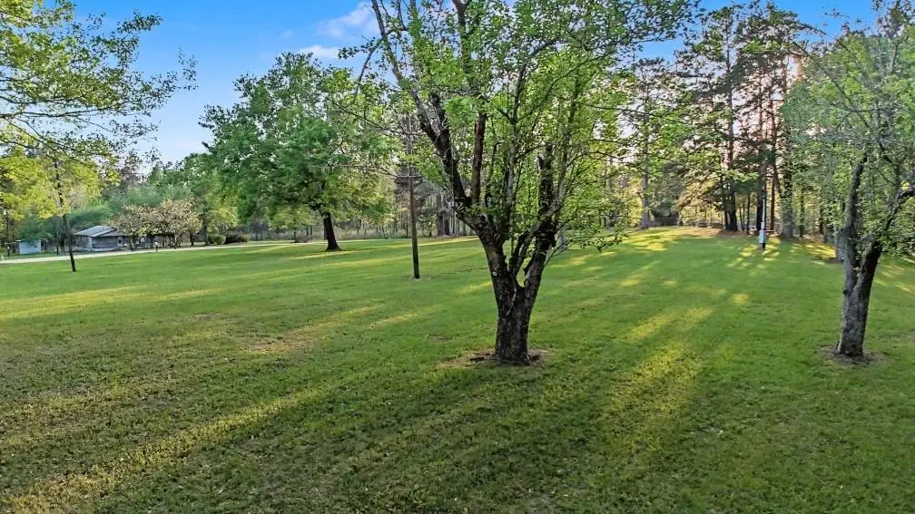 943 County Road 298, Jasper, TX 75951 - #1