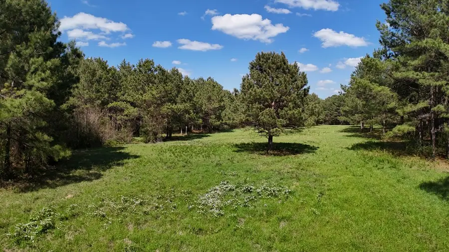 LOT 4 County Road 234, Nacogdoches, TX 75965 - #3