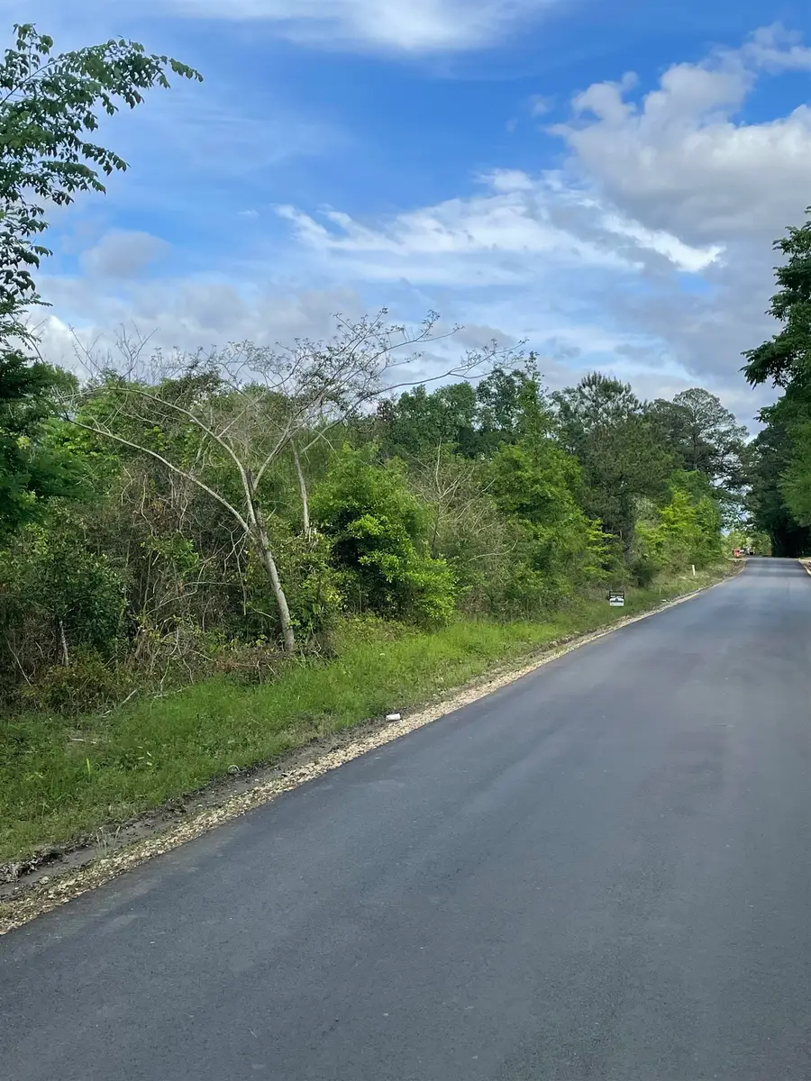 7675 Hwy 96 N, Brookeland, TX 75931 - #2