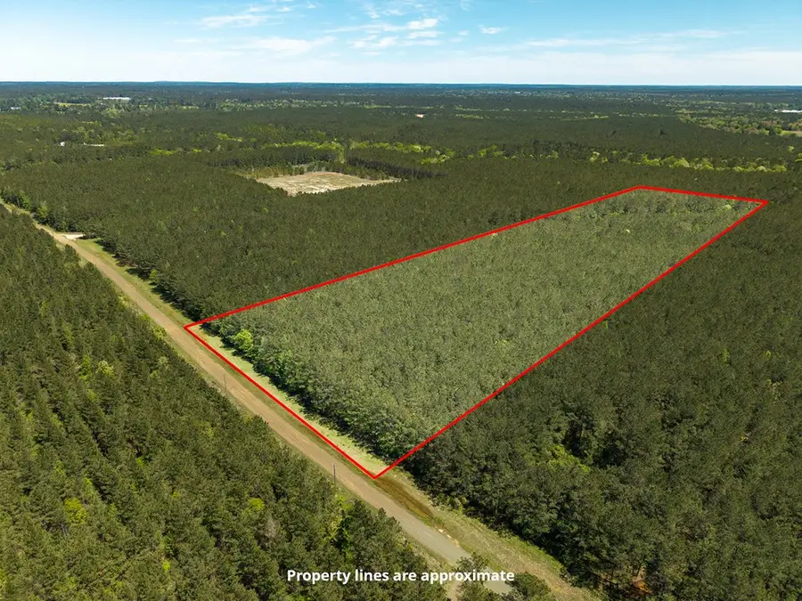 L28379 Cr 403, San Augustine, TX 75972 - #3