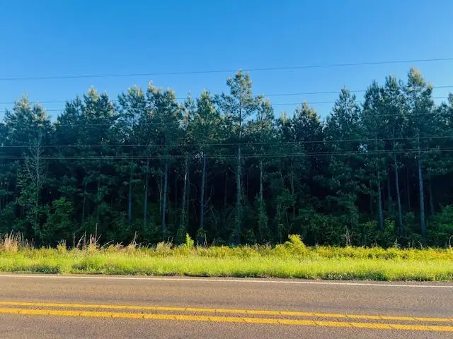 3122 State Hwy 184, Hemphill, TX 75948 - #1
