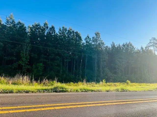 3122 State Hwy 184, Hemphill, TX 75948 - #3