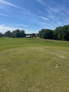 0 Nautilus Drive, Hemphill, TX 75948 - #1