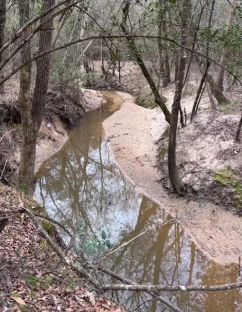 PID Fm 2863, Nacogdoches, TX 75964 - #1