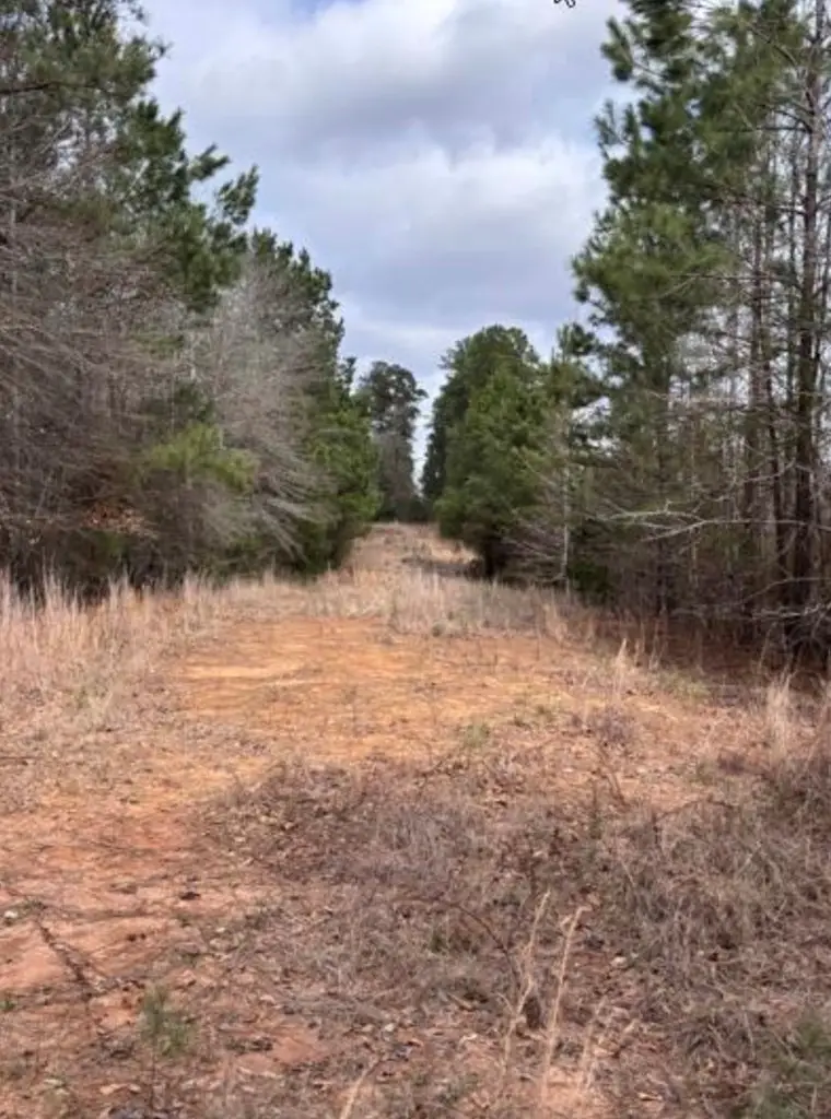 PID Fm 2863, Nacogdoches, TX 75964 - #3