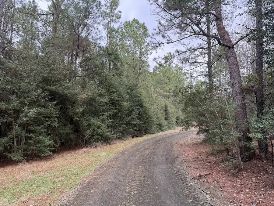 0 Black Squirrel Road East, Brookeland, TX 75931 - #2