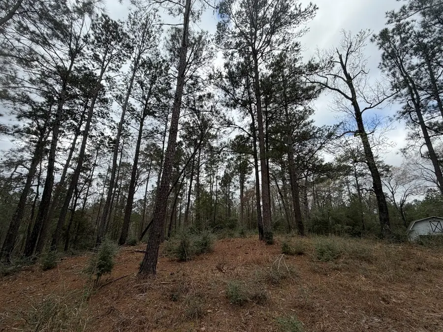 0 Black Squirrel Road East, Brookeland, TX 75931 - #3