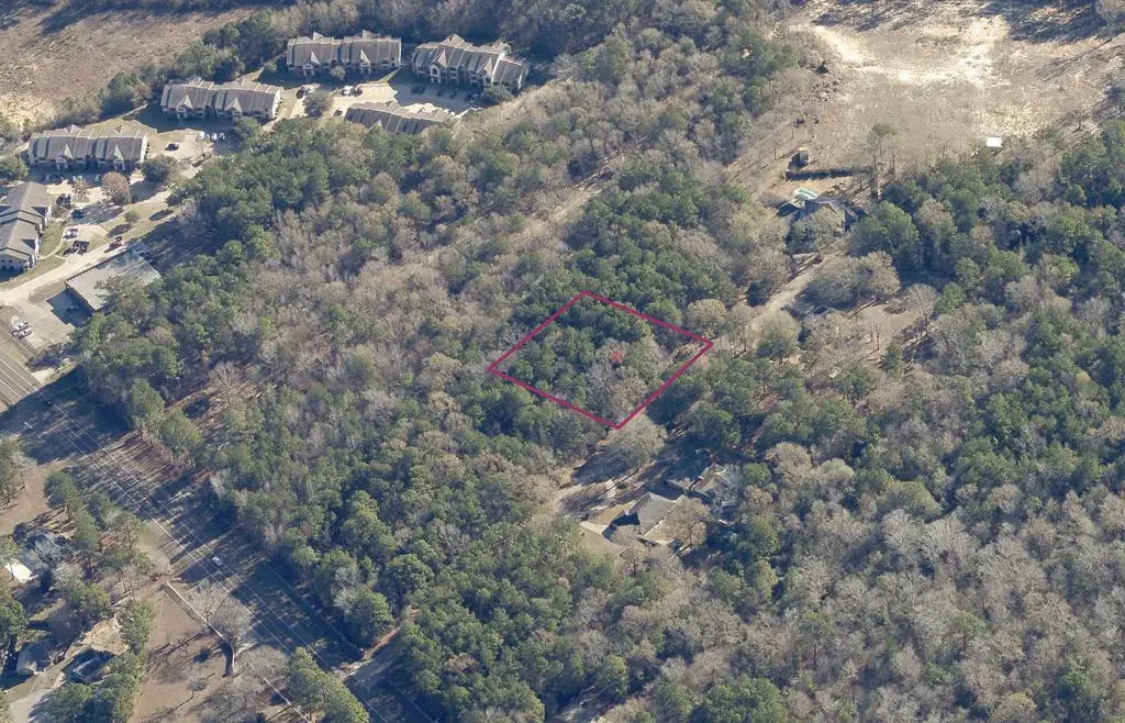 376747 Forse St, Woodville, TX 75979 - #1