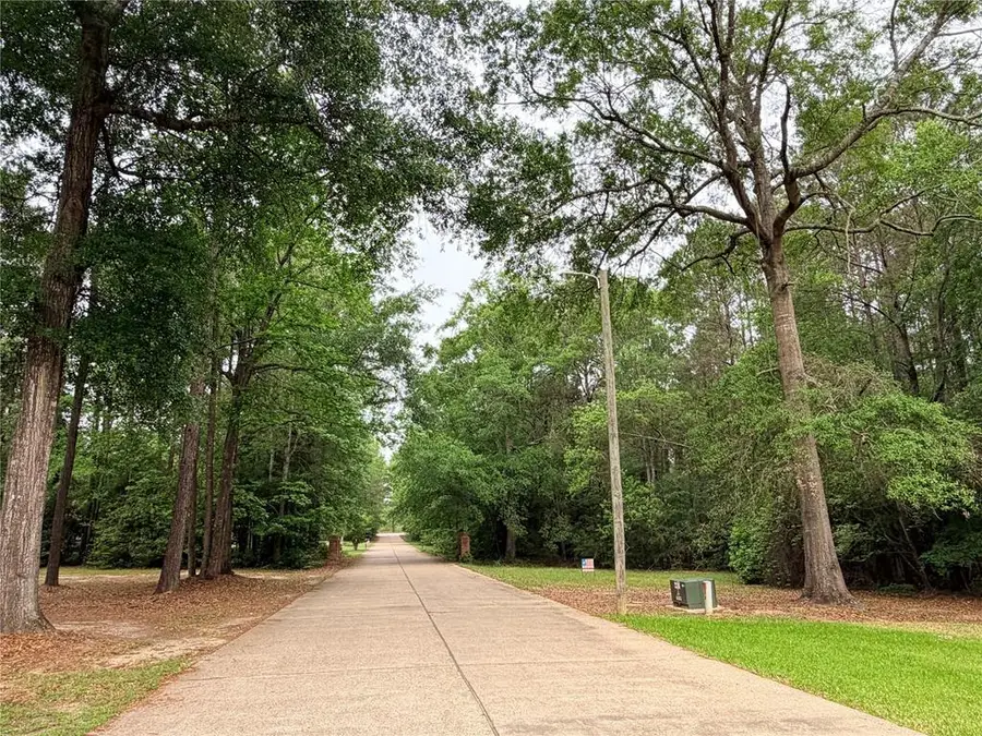 376747 Forse St, Woodville, TX 75979 - #2